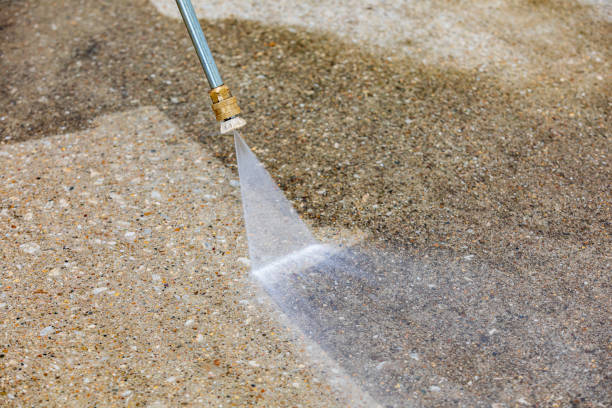 Animal Enclosure Cleaning in Kenilworth, IL